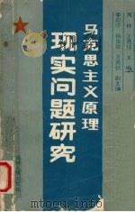 马克思主义原理现实问题研究 1989 PDF电子版封面 7206005241 周林,王秀仪主编