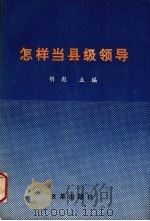怎样当县级领导 1991 PDF电子版封面 7800723194 胡彪主编