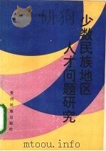 少数民族地区人才问题研究（1995 PDF版）