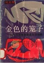 金色的笼子 当代中国婚姻家庭生活掠影 1991 PDF电子版封面 7220014635 何光照著
