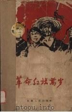 革命红旗万岁 1962 PDF电子版封面 中共金寨县委员会编