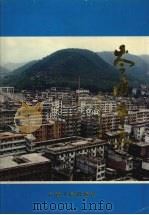 岑溪市志   1996  PDF电子版封面  7219034474  陈旭相主编；岑溪市志编纂委员会编 