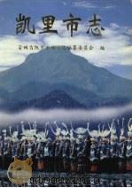 凯里市志  下（1998 PDF版）