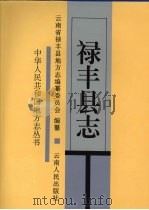 禄丰县志 1997 PDF电子版封面 7222022112 云南省禄丰县志地方志编纂委员会编纂