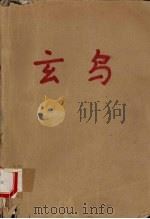 玄鸟 1995 PDF电子版封面 7806052631 亦夫著