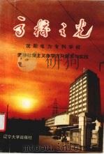 高校之光 沈阳电力专科学校坚持社会主义办学方向探索与实践 1991.08 PDF电子版封面 7561013841 能源部教育司,东北电业管理局编