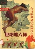 色粉笔人体 1999 PDF电子版封面 7531422484 (西班牙)大卫·圣明戈尔著;(西班牙)温森·比·巴列斯塔尔插
