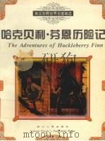 哈克贝利·芬恩历险记 1999 PDF电子版封面 7220035888 (美)马克·吐温(Mark Twain)著;何晓琪译