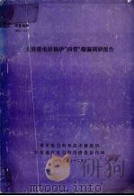 大容量电站锅炉“四管”爆漏调研报告 1993 PDF电子版封面 吴含蕴,卢尔康编写
