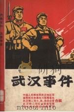 武汉事件_12090470（ PDF版）