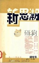 新思潮月刊  第2、3期合刊  影印本（ PDF版）
