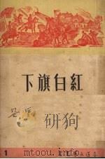 红白旗下 1950 PDF电子版封面 黑婴著