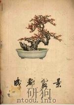 成都盆景 1957 PDF电子版封面 8118·148 冯灌父,薄文编