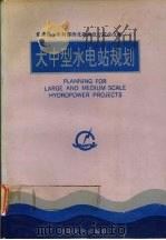 大中型水电站规划（1991 PDF版）