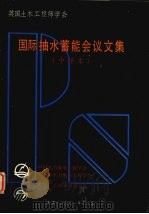 国际抽水蓄能会议文集  （中译本）（1991 PDF版）