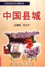 中国县城 1 1998 PDF电子版封面 7805951012 刘大平撰