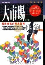 大市场 (下册) 国际商战的制胜谋略 1995 PDF电子版封面 9577331564 张晓峰著