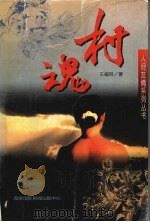 村魂 1996 PDF电子版封面 7806091297 王福林著