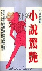 小说惊艳（1989 PDF版）