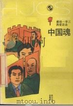 中国魂 1989 PDF电子版封面 7541105112 本社编