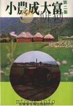 小农成大富 第二集 1981 PDF电子版封面 台湾新生报社农业经济版编辑室主编