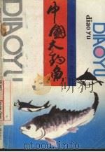 中国大钓鱼 1991 PDF电子版封面 750780108X 洪加祥主编