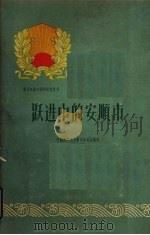 跃进中的安顺市（1960 PDF版）