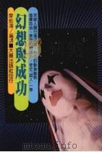幻想与成功 1984 PDF电子版封面 廖松涛编译