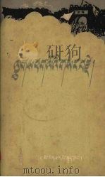 辛亥革命(汉、藏文对照) 1960 PDF电子版封面 M11140·1 四川民族出版社编译