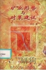 矿业形势与对策建议 1997 PDF电子版封面 7503408588 朱训著