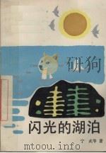 闪光的湖泊（1992.3 PDF版）