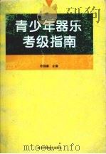 青少年器乐考级指南 1996 PDF电子版封面 7536431996 张锡康主编