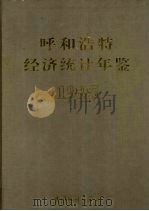 呼和浩特经济统计年鉴  1995   1995  PDF电子版封面  7503718552  呼和浩特统计局编 