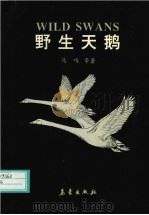 野生天鹅（1993 PDF版）