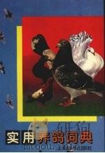 实用养鸽词典（1995 PDF版）