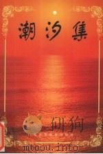 潮汐集 1997 PDF电子版封面 7536120540 丁励松著