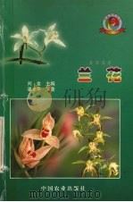 兰花（1999 PDF版）