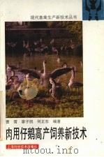肉用仔鹅高产饲养新技术（1995 PDF版）