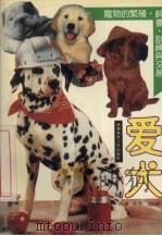 爱犬 1993 PDF电子版封面 756162462X 胜富,黎黎编译