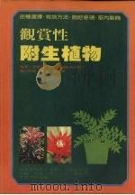 观赏性附生植物 1981 PDF电子版封面 孙樱芳编译