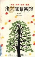 作文题目集锦 命题 材料 情境 想象 1988 PDF电子版封面 7805370761 王文沛编写