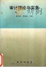 审计理论与实务 1995 PDF电子版封面 7501129509 孙文生,李良武主编