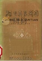 湖北科技群团   1985  PDF电子版封面  13304·9  湖北省科学技术协会，湖北省人才交流开发中心组编 