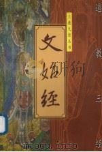文始经 1999 PDF电子版封面 7800889343 赵晓鹏,李安纲编著