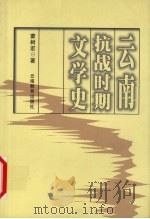 云南抗战时期文学史 1998 PDF电子版封面 7541514616 蒙树宏著