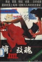 滴血玫瑰 1996 PDF电子版封面 7541114669 肖遐明著