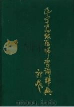 辽宁高级医师咨询辞典 1992 PDF电子版封面 7205021375 王滋民主编