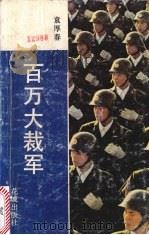百万大裁军 1987 PDF电子版封面 7536000421 袁厚春著