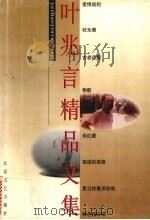 叶兆言精品文集（1999 PDF版）