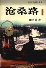 沧桑路（1998 PDF版）